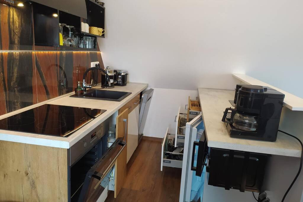 Apartman Atelier Vary V Nove Zrekonstruovanem Dome Karlovy Vary Exterior foto