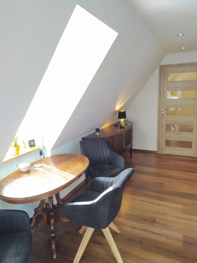 Apartman Atelier Vary V Nove Zrekonstruovanem Dome Karlovy Vary Exterior foto