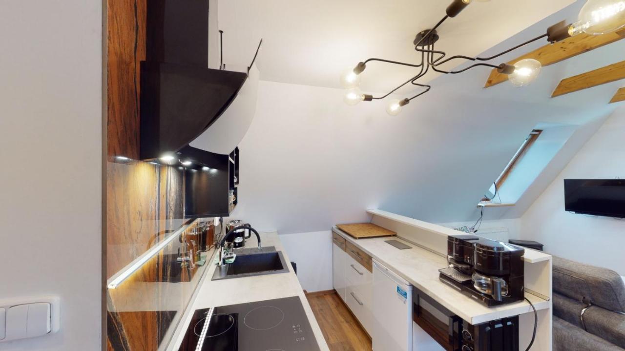 Apartman Atelier Vary V Nove Zrekonstruovanem Dome Karlovy Vary Exterior foto